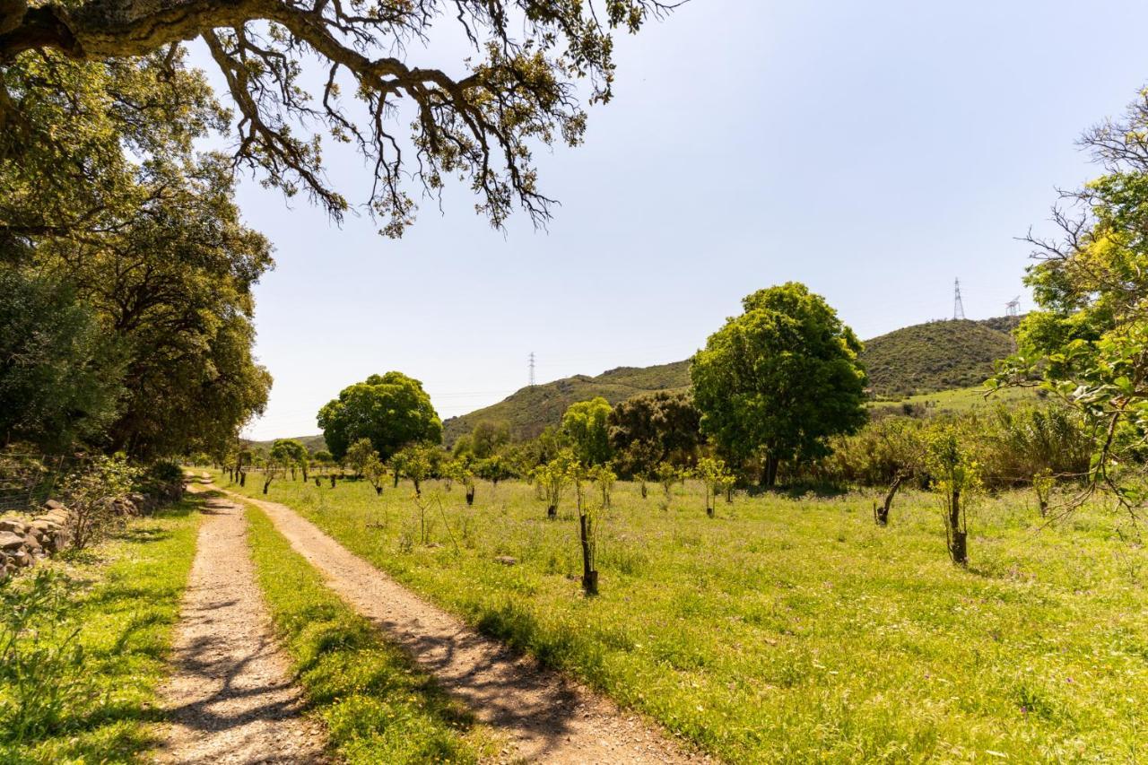 Finca Sta Teresa, Casa Grande Эстепона Экстерьер фото
