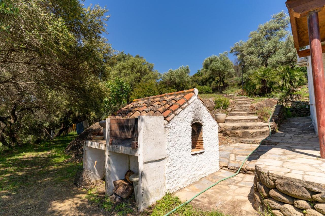 Finca Sta Teresa, Casa Grande Эстепона Экстерьер фото