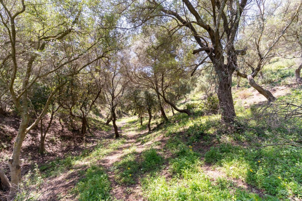 Finca Sta Teresa, Casa Grande Эстепона Экстерьер фото